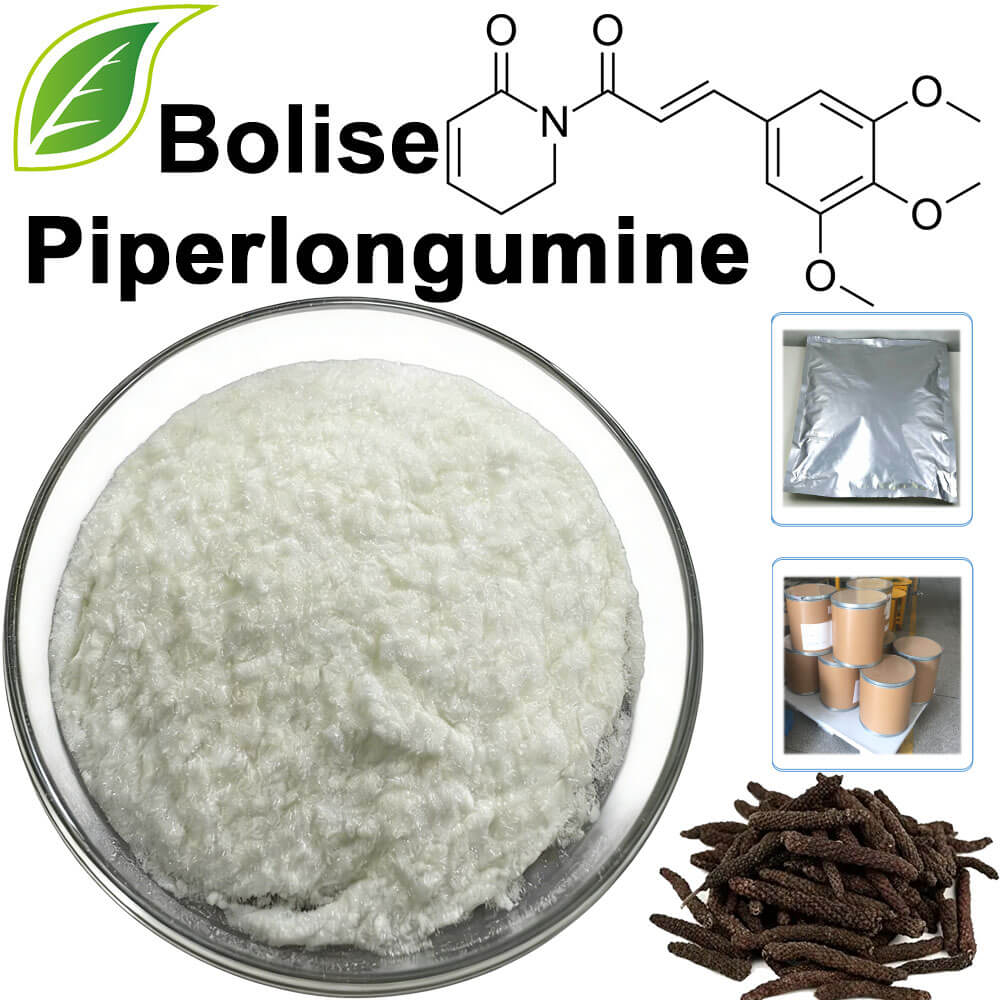 Piperlongumine