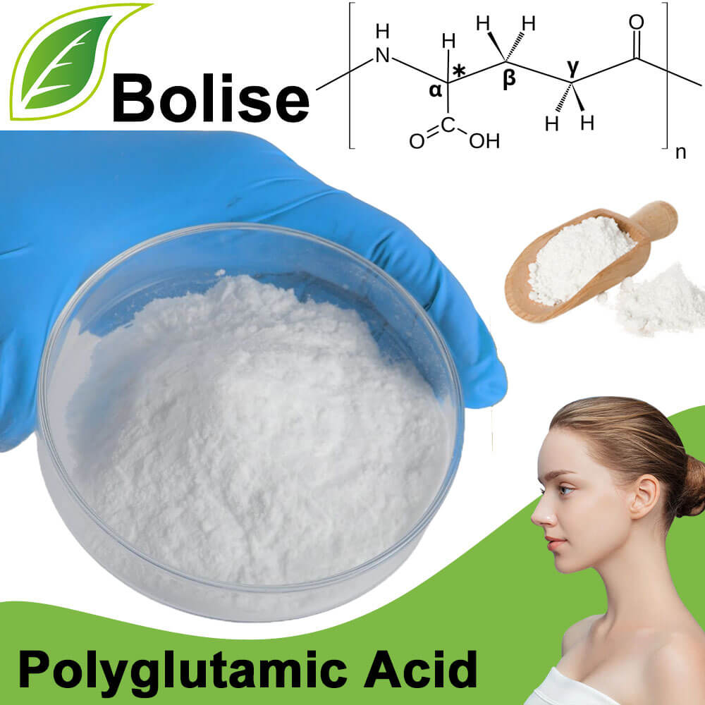 Polyglutamic Acid (PGA)