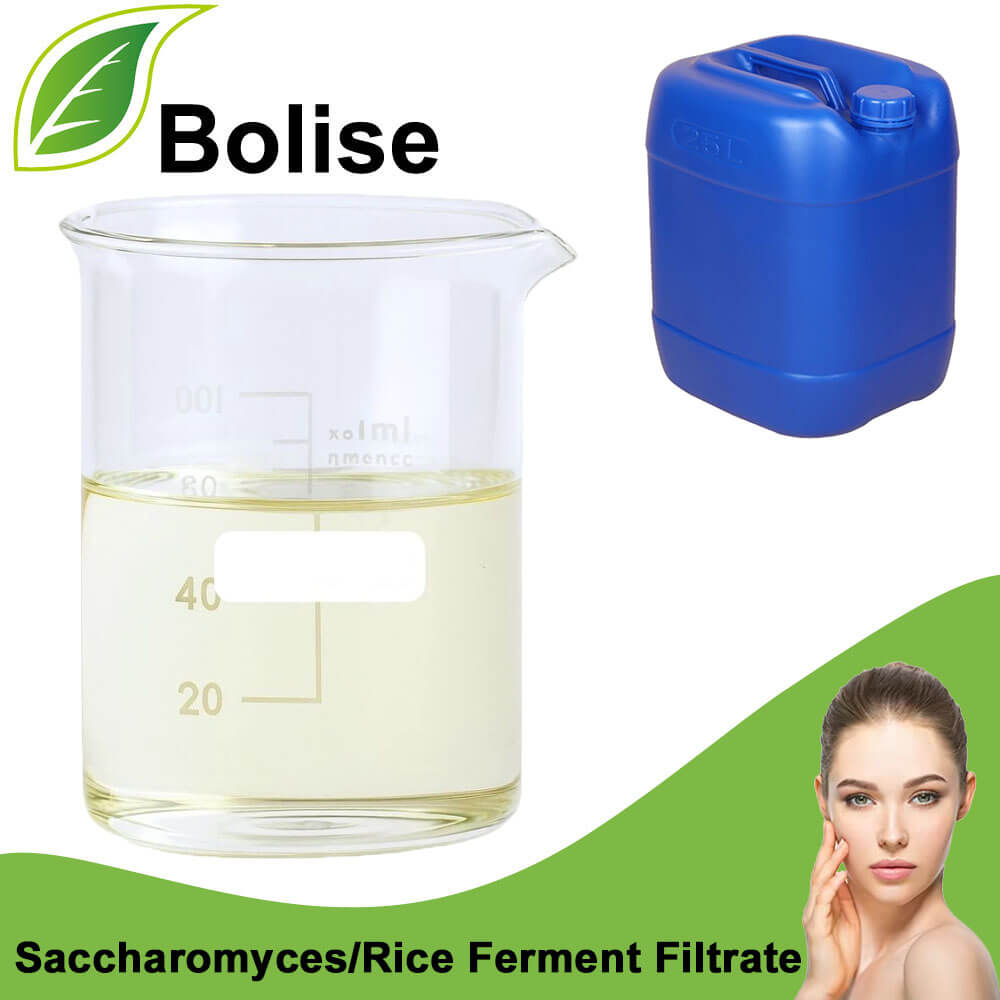 Saccharomyces/Rice Ferment Filtrate