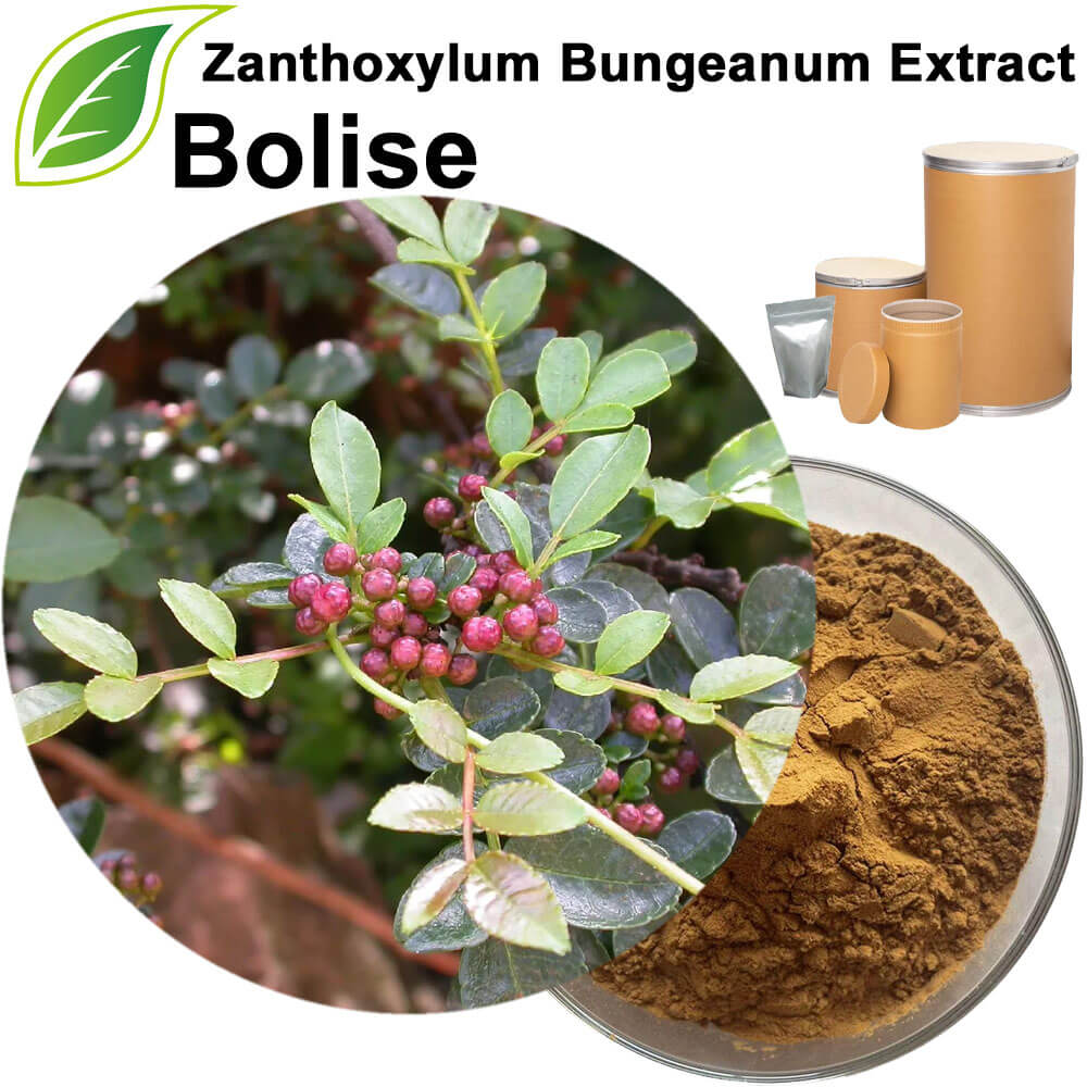 Pricklyash Peel Extract (Zanthoxylum Bungeanum Extract)