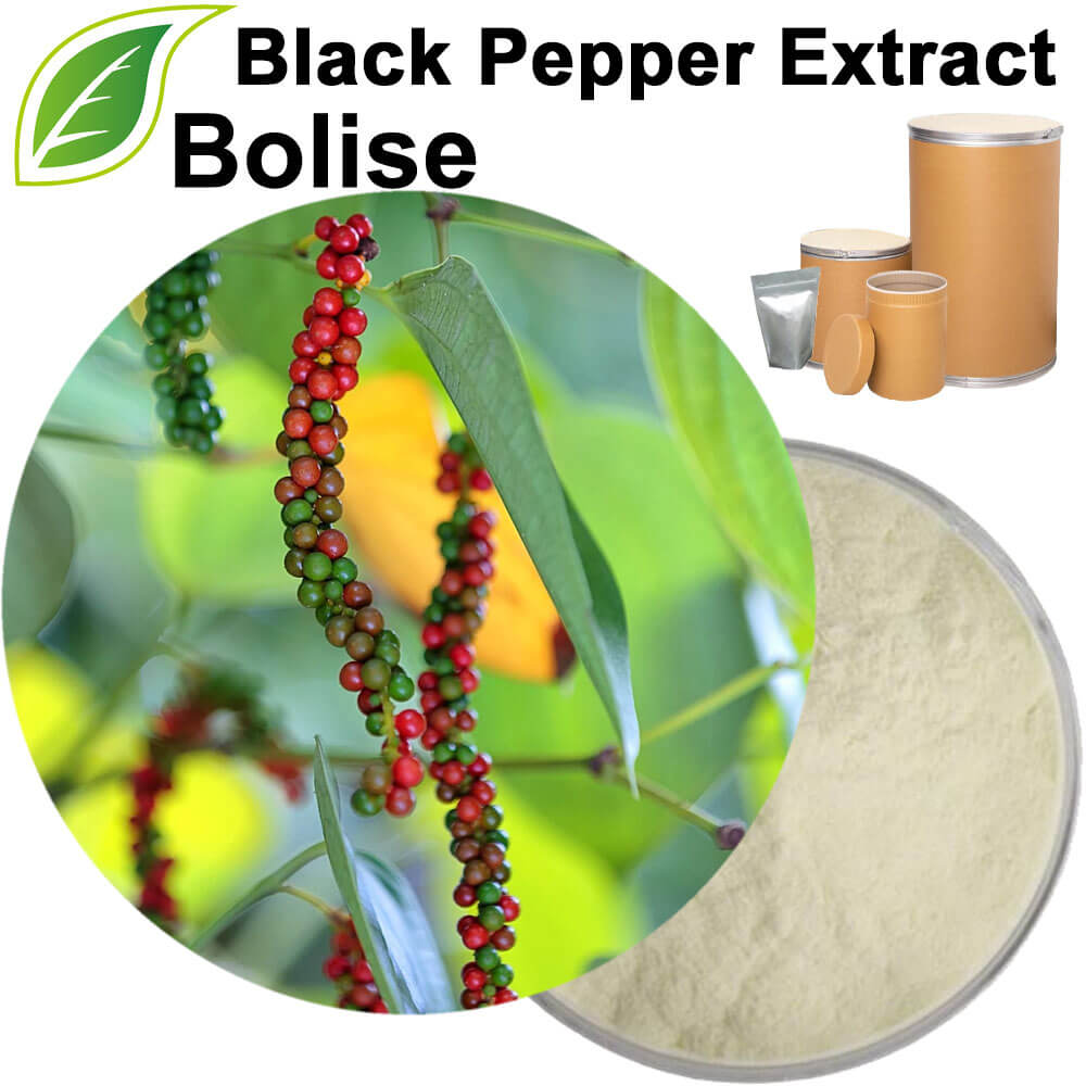 Black Pepper Extract
