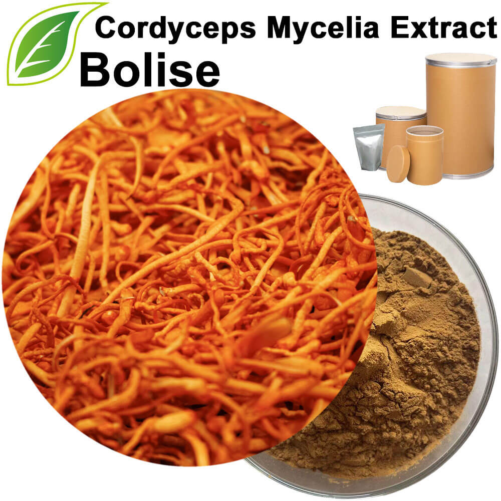 Cordyceps Mycelia Extract