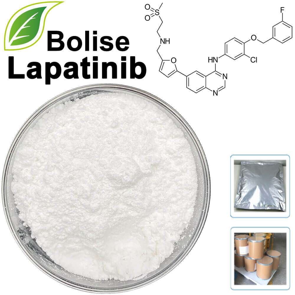 Lapatinib