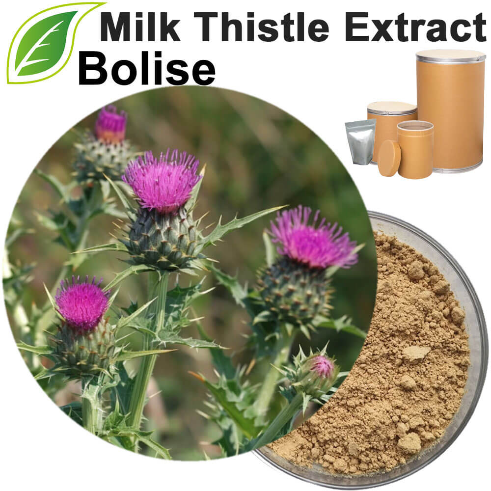 Milk Thistle Extract