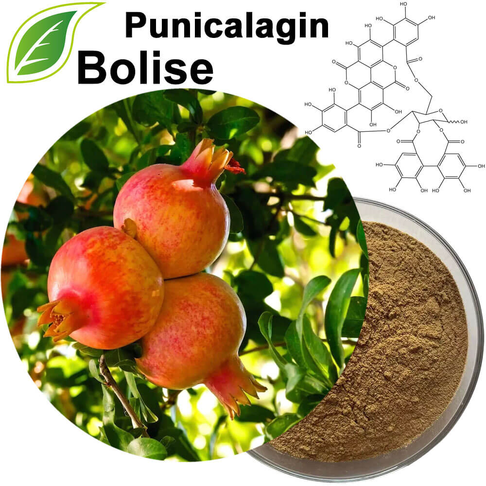 Punicalagin