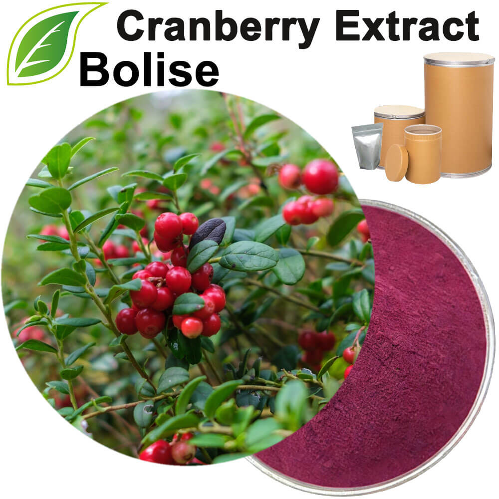 Cranberry Extract