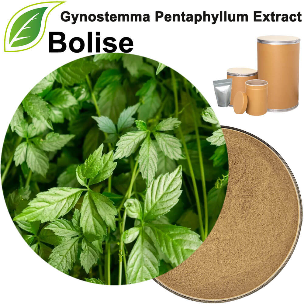 Gynostemma Pentaphyllum Extract