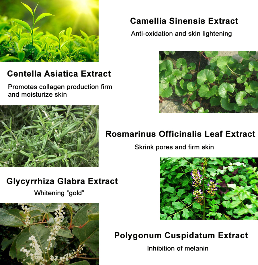 Hydrating Face Cleanser for All Skin ingredients