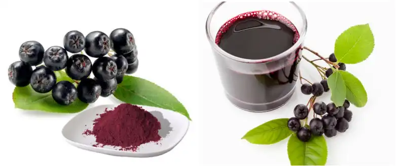 Aronia Chokeberry Extract