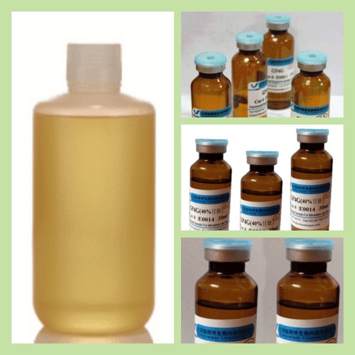 GP4G(Diguanosine Tetraphosphate)