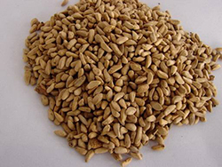 Pomegranate Seed extract