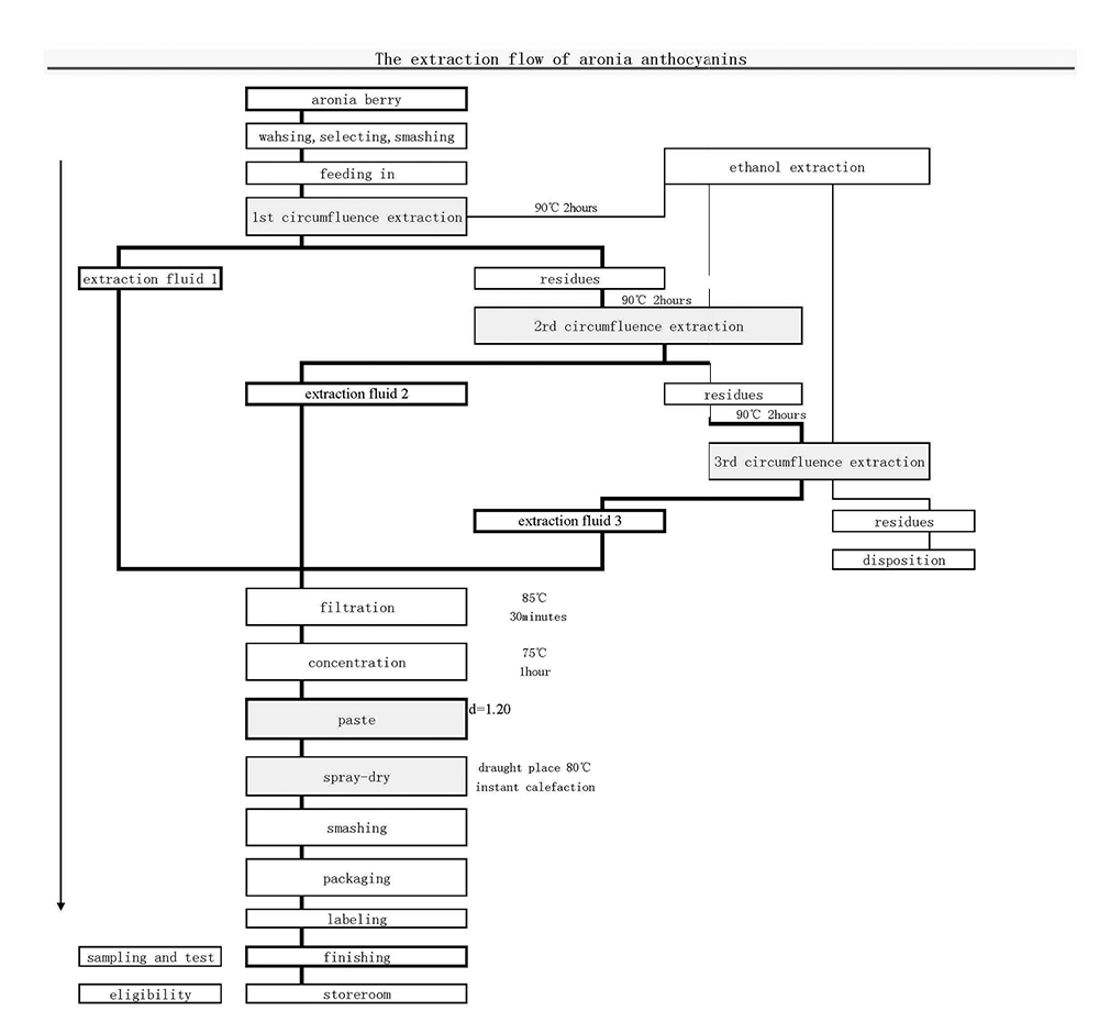 The extraction flow of aronia anthocyanins