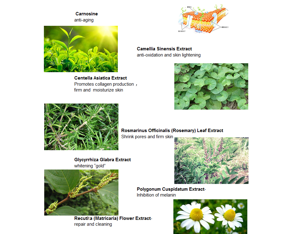 OEM Private Label Firming Eye Cream For Dark Circles And Eye Bag