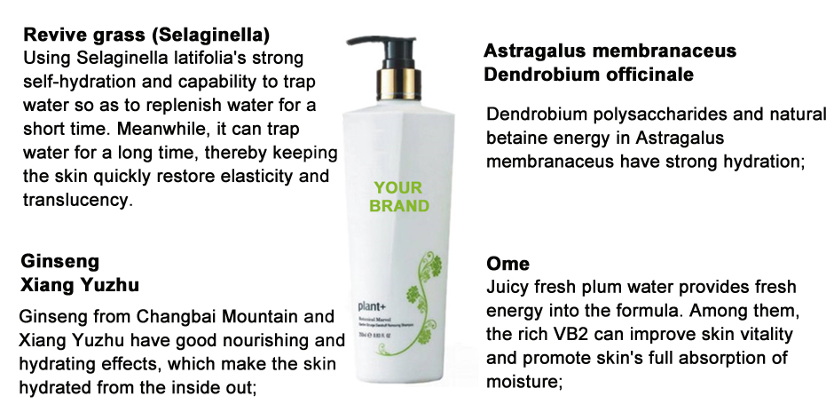 OEM Anti-dandruff Cleansing Non Silicone Shampoo