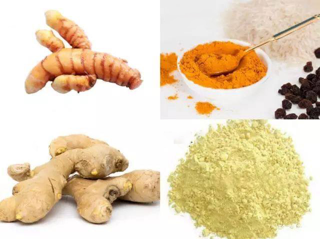 turmeric and curcumin