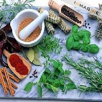 Natural Anti-Diabetes Formula