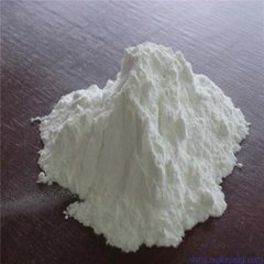 Letosteine